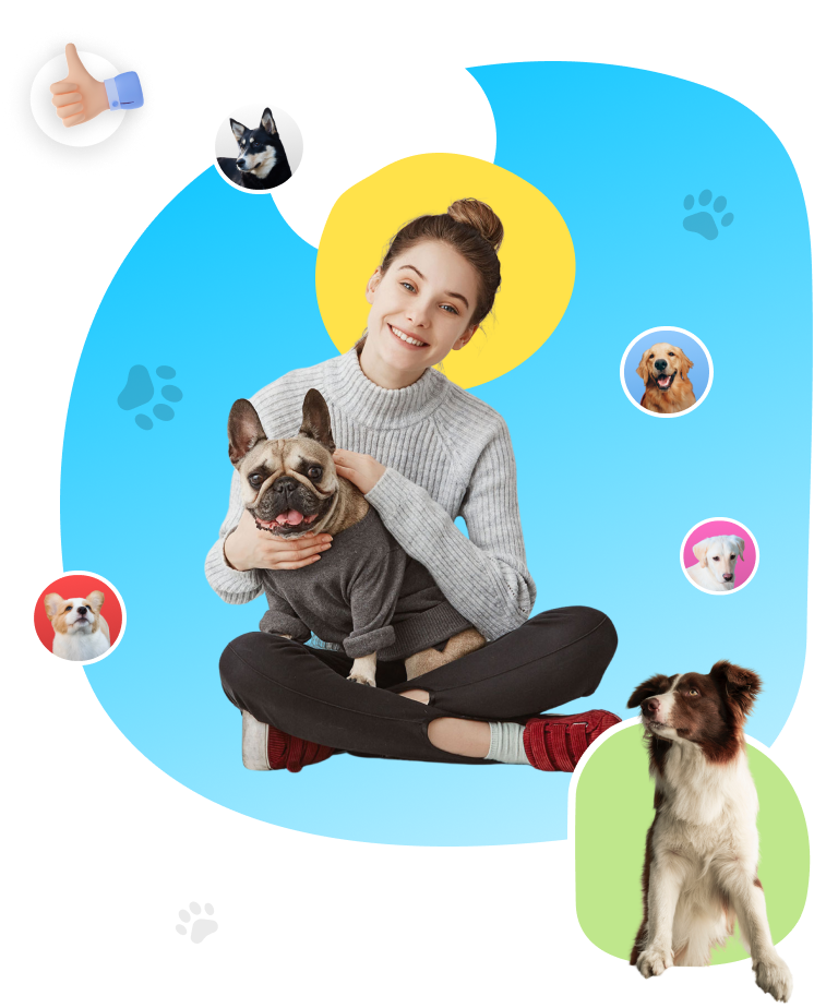 woman and dogs